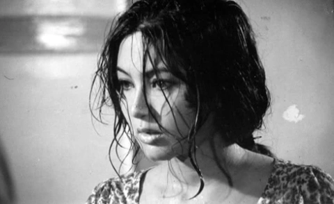 Thúy Hằng trong giai đoạn hoàng kim của sự nghiệp.