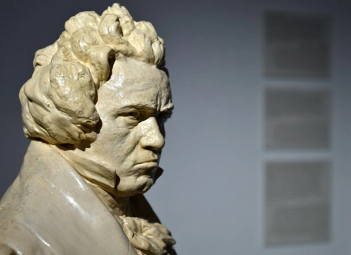 muoi-dieu-thu-vi-ve-beethoven-2