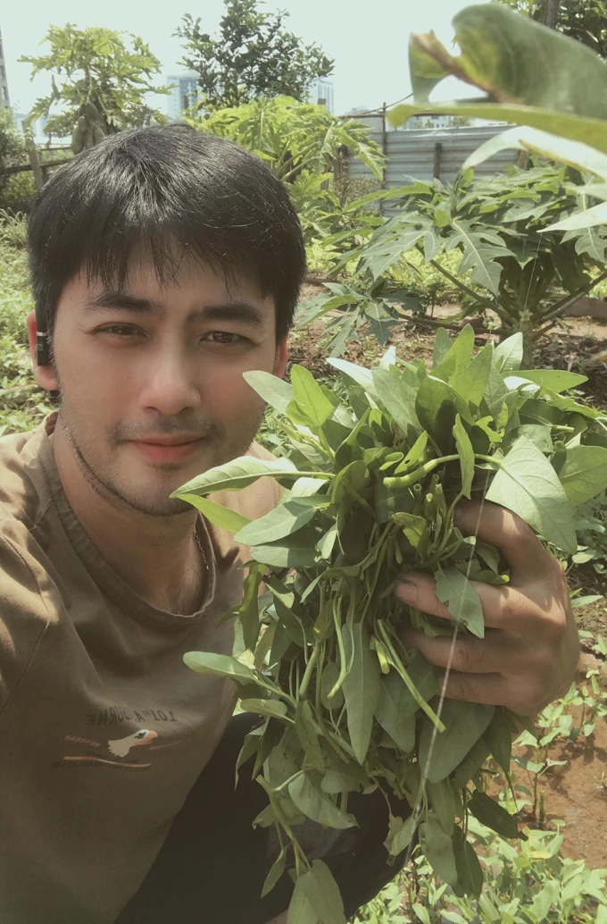 Diễn viên Bảo Anh khoe rau muống tự trồng. Ảnh: Facebook Pham Bao Anh