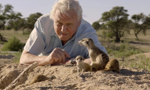 David Attenborough - Tin tức mới nhất 24h qua - Báo VnExpress