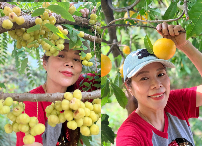Mỹ Lệ hái trái cây trong vườn. Ảnh: Nhân vật cung cấp