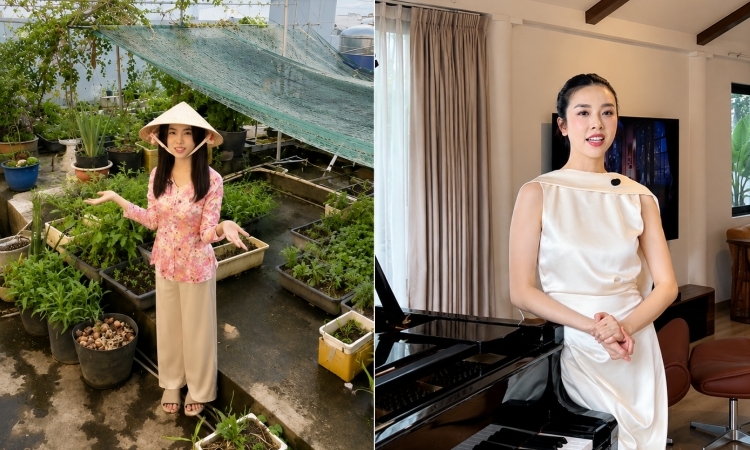 Thúy An cải tạo sân thượng biệt thự thành phòng nghỉ dưỡng
