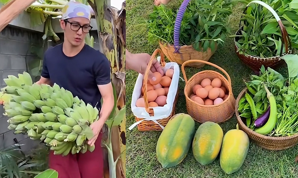 'Hoàng tử trong mơ' thu hoạch rau, trứng ở nhà vườn