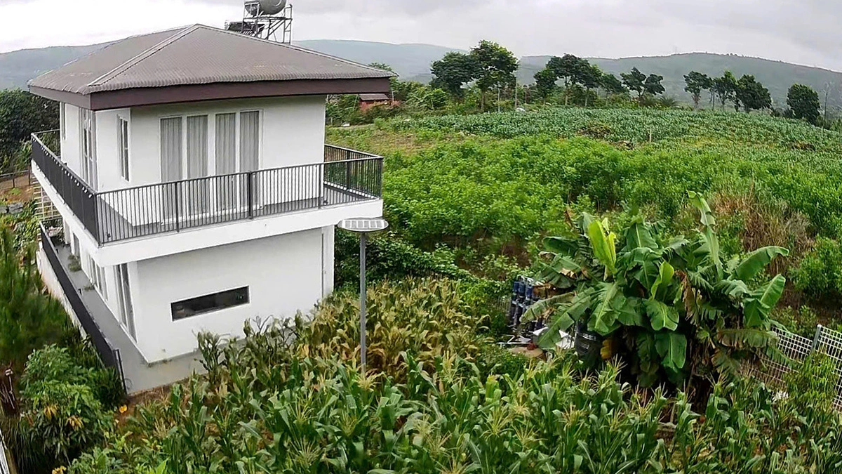 Vườn rau trái gần 1.000 m2 của diễn viên Lê Hóa
