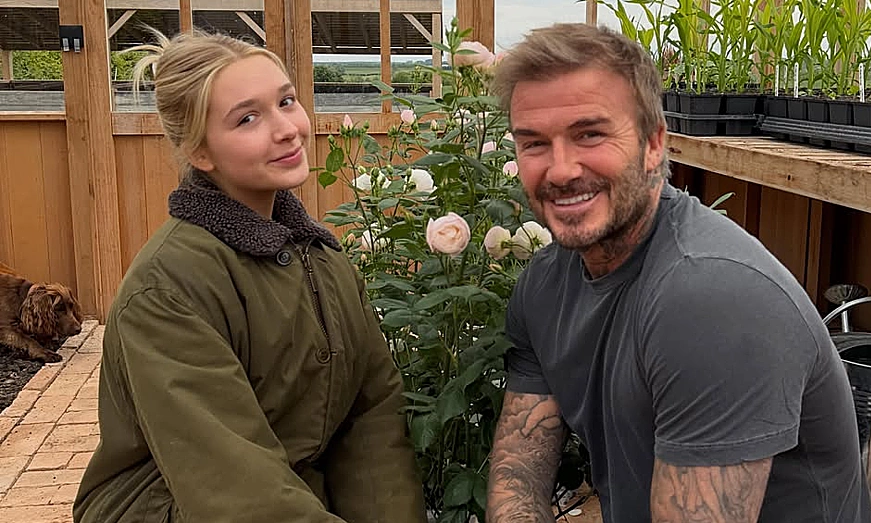 David Beckham đăng ký thương hiệu hoa hồng do con gái tặng