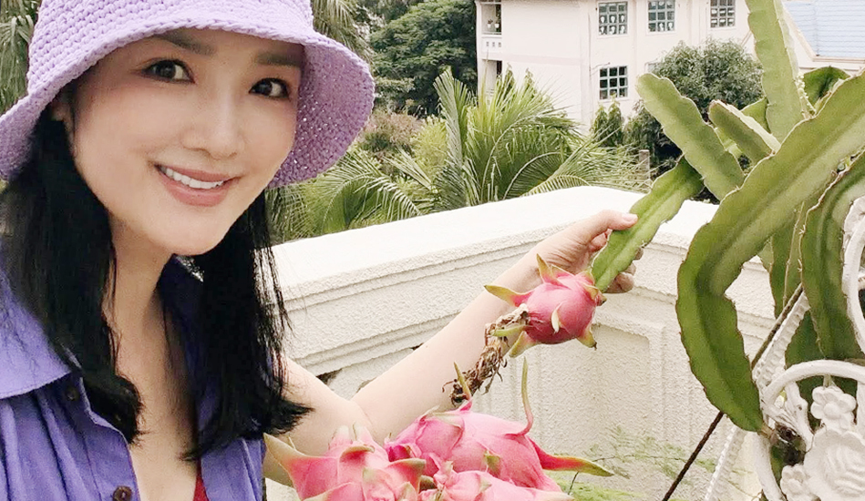 Vườn rau trái ở biệt thự của hoa hậu Giáng My